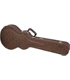Amazon.com: Epiphone Case for Epiphone Les Paul Standard & Custom
